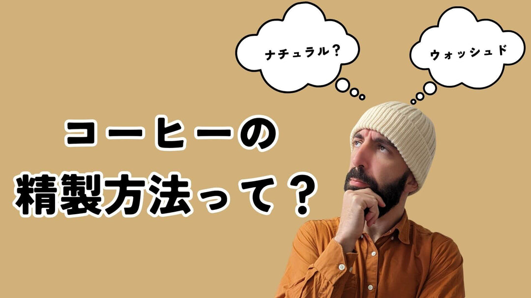 コーヒーの精製方法とは？風味の違いと“好み”が見つかる選び方を焙煎人が解説