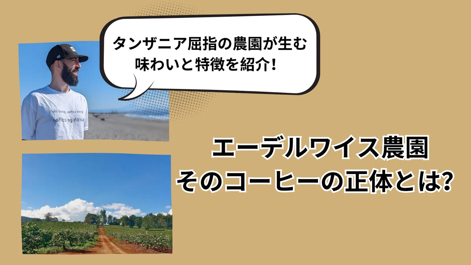 コーヒーのエーデルワイスとは？タンザニア屈指の農園が生む味わいと特徴を解説