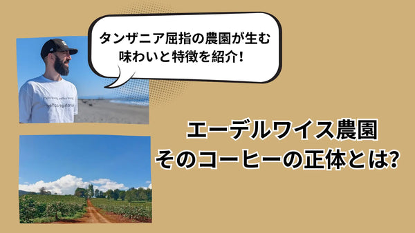 コーヒーのエーデルワイスとは？タンザニア屈指の農園が生む味わいと特徴を解説