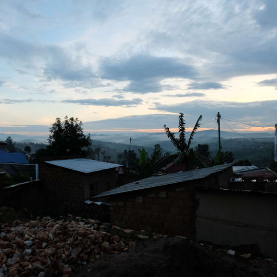 ルワンダ ルガリ ナチュラル ブルボン&C15