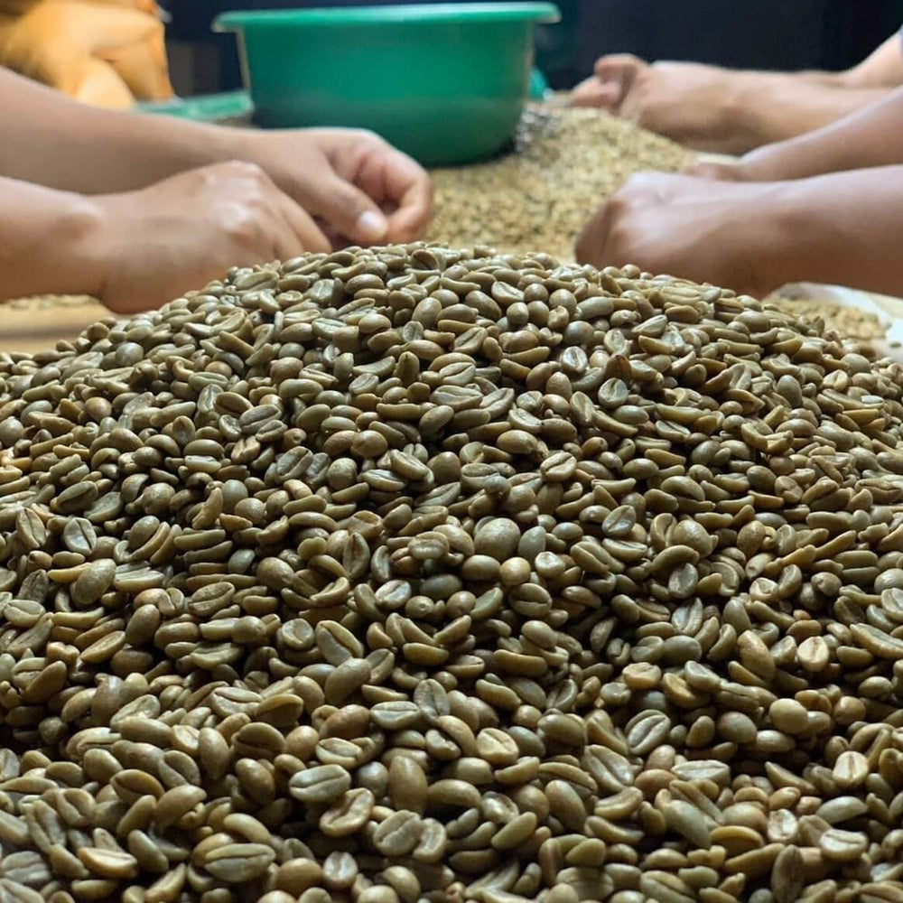 ニカラグア ラスデリシアス ジャバニカ ナチュラル