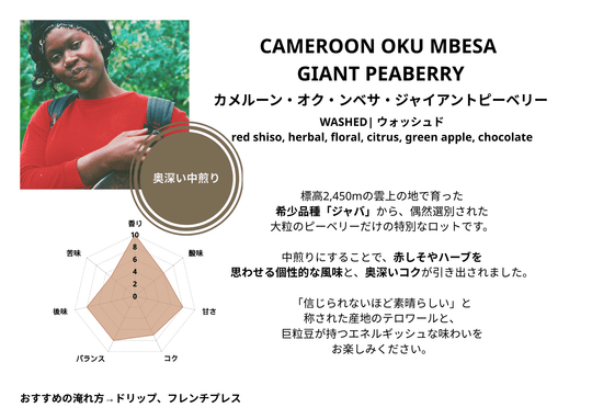 カメルーン オクンベサ ジャイアントピーベリー  ウォッシュド G1