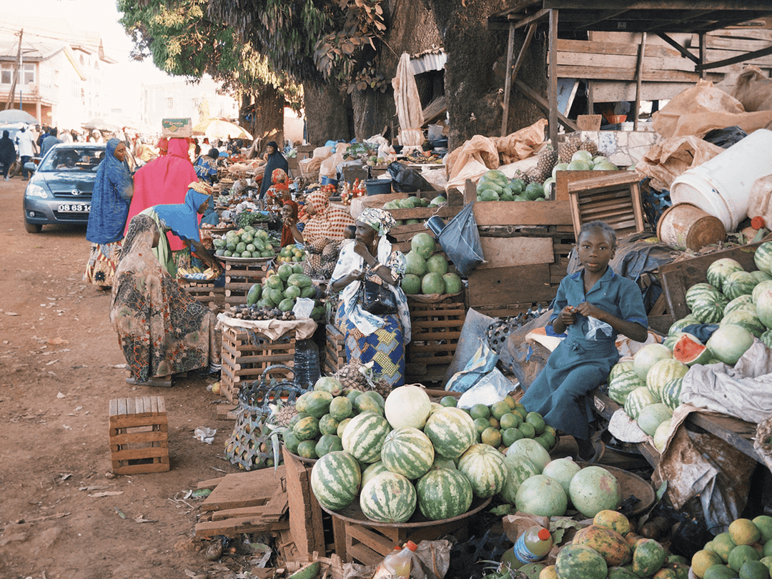 カメルーン オクンベサ ジャイアントピーベリー  ウォッシュド G1