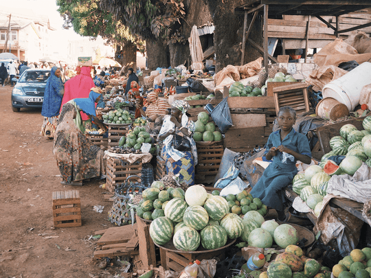カメルーン オクンベサ ジャイアントピーベリー  ウォッシュド G1
