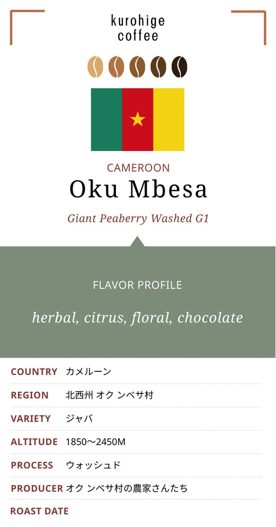 カメルーン オクンベサ ジャイアントピーベリー  ウォッシュド G1