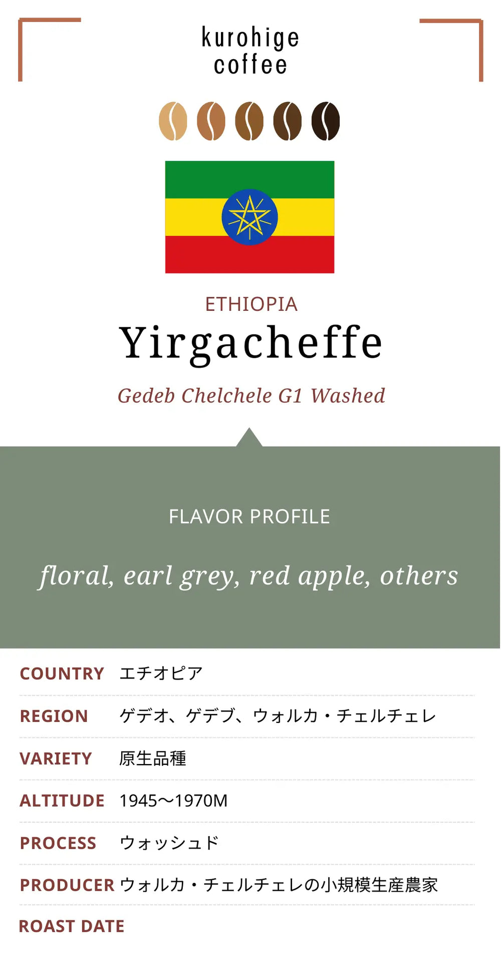 エチオピア イルガチェフェ G1 ゲデブ チェルチェレ ウォッシュド