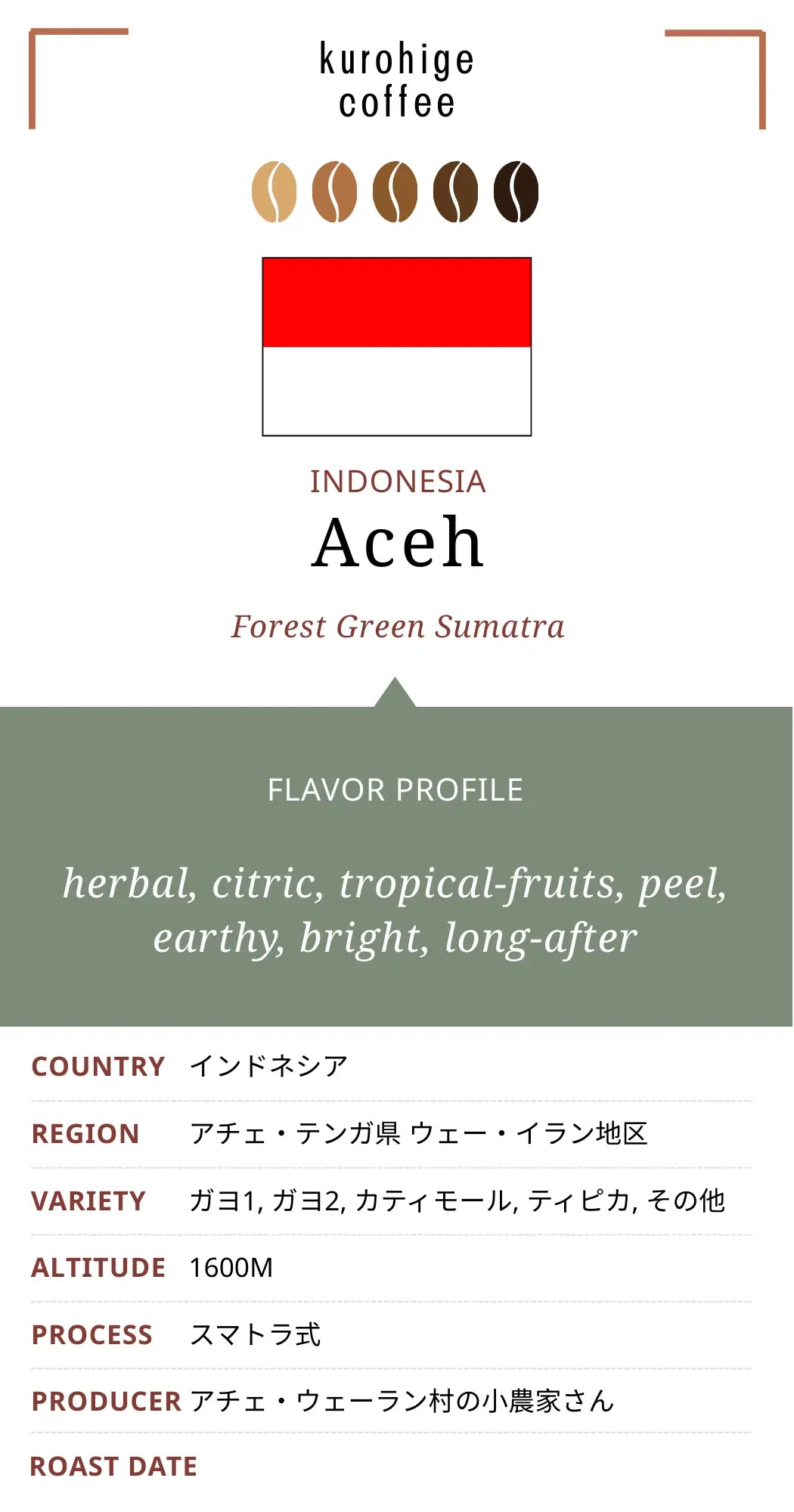 インドネシア アチェ フォレストグリーン スマトラ式 G1