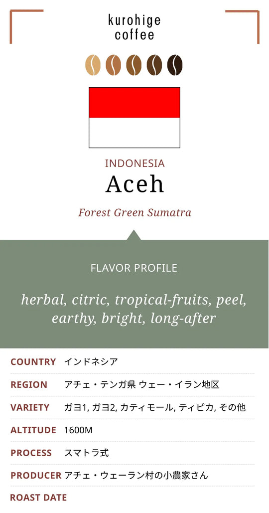 インドネシア アチェ フォレストグリーン スマトラ式 G1