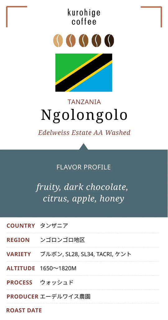 タンザニア ンゴロンゴロ エーデルワイス農園 AA ウォッシュド
