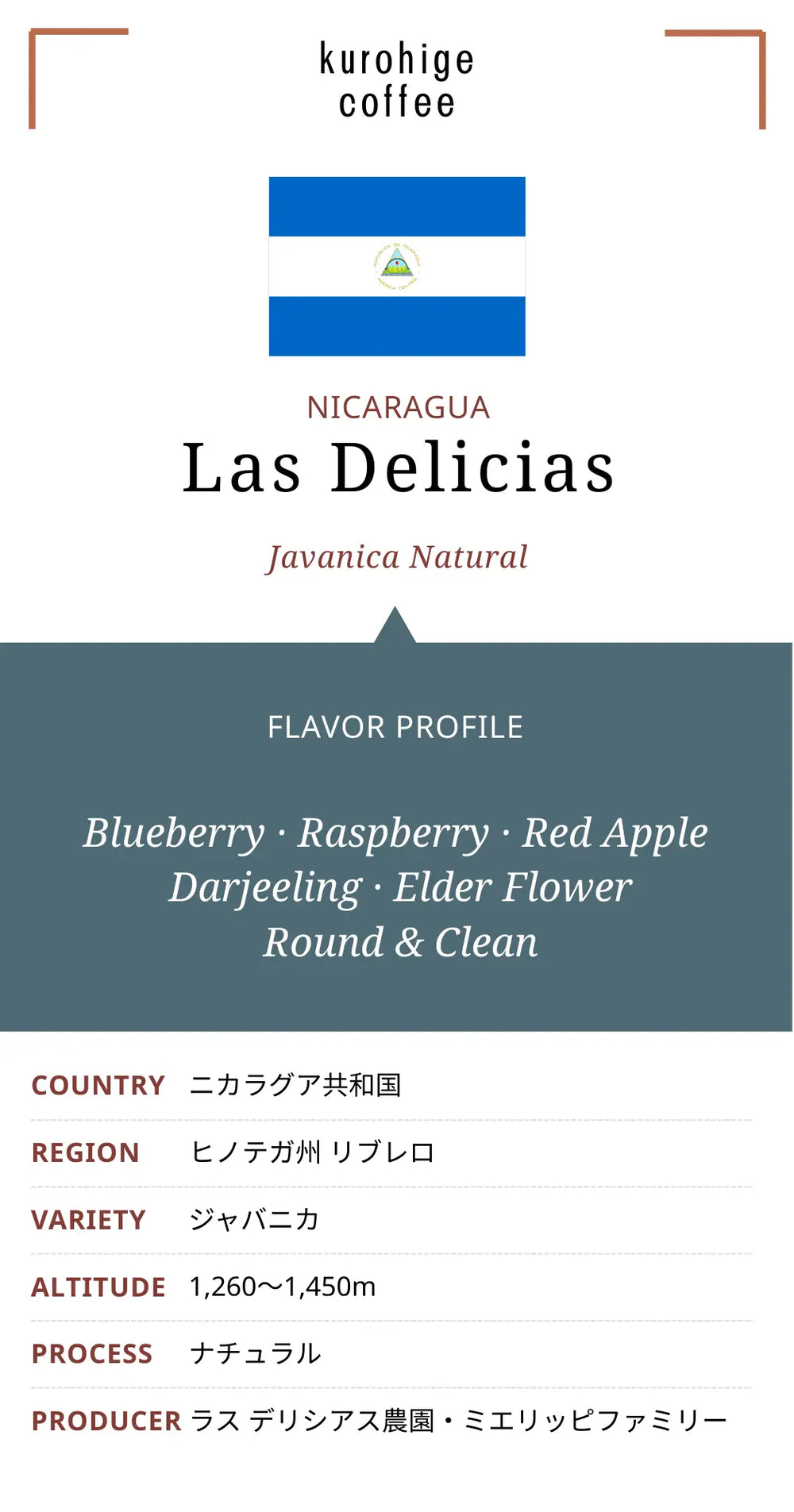 ニカラグア ラスデリシアス ジャバニカ ナチュラル